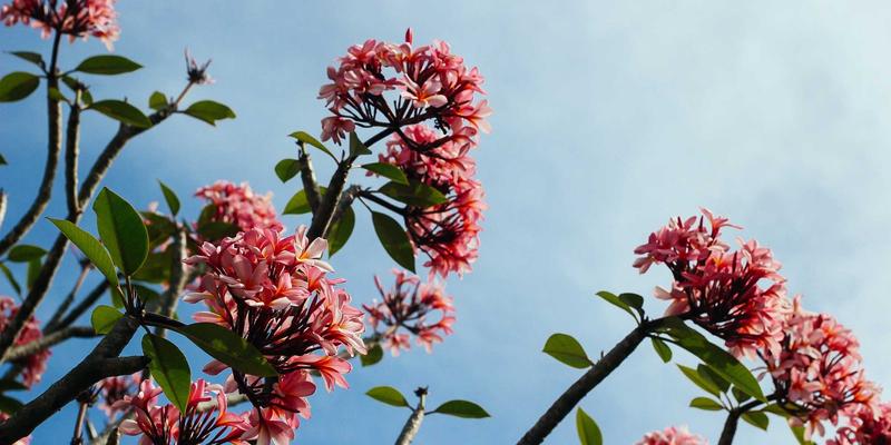 从润泽晟豪看高端住宅与商业地产的静音革命：室内声学设计如何重塑资产价值