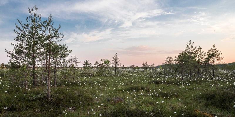 润泽晟豪32：重塑城市天际线的高端住宅与商业地标