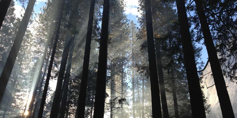 润泽晟豪96：重新定义高端住宅的当代生活美学