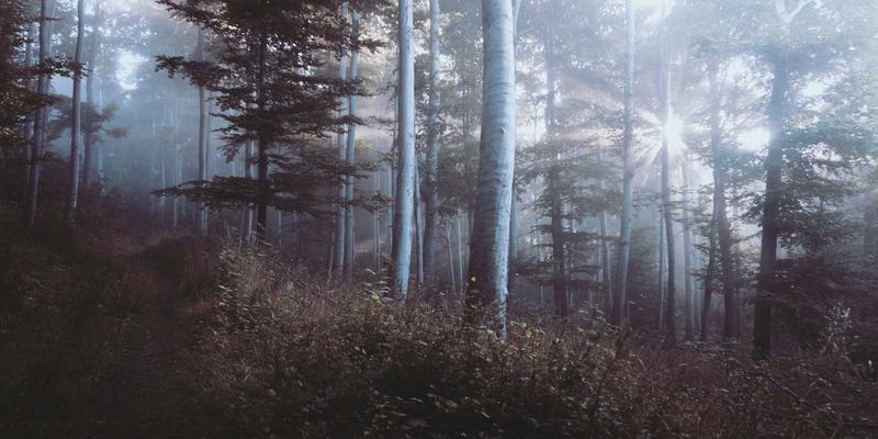 润泽晟豪：以高端会所运营重塑物业管理，赋能业主品质生活与圈层社交