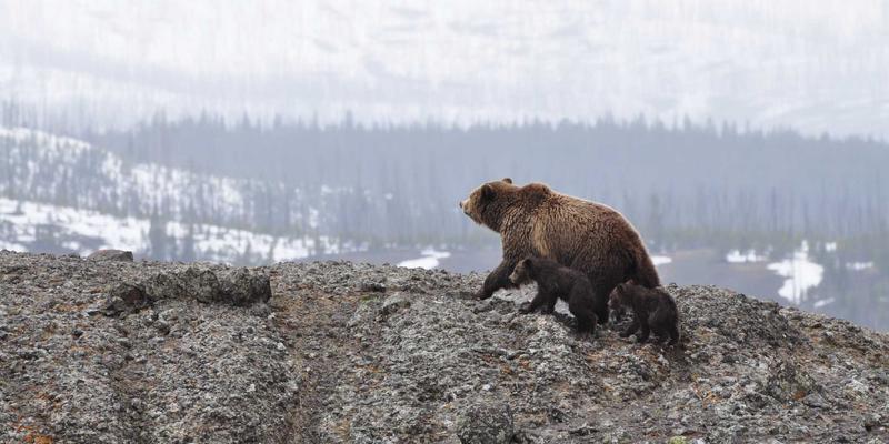 润泽晟豪如何以商业地产与物业管理创新，打造赋能居家创业与灵活办公的社区共享空间