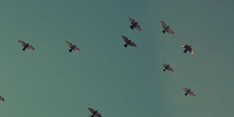 润泽晟豪如何通过全球顶级设计资源整合，打造资产管理新标杆与高端住宅地标