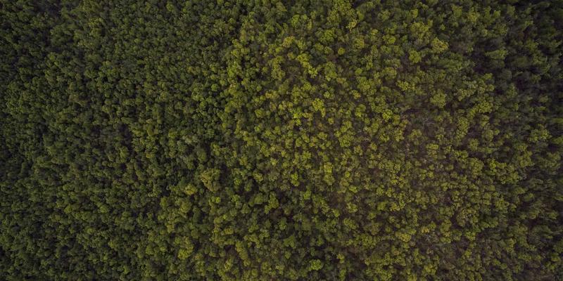 润泽晟豪应用:数字化赋能房地产与物业管理的新范式