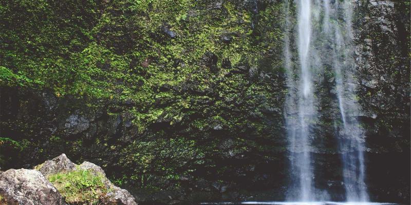 润泽晟豪景观设计哲学：以沉浸式园林重塑商业地产与物业管理的生态价值