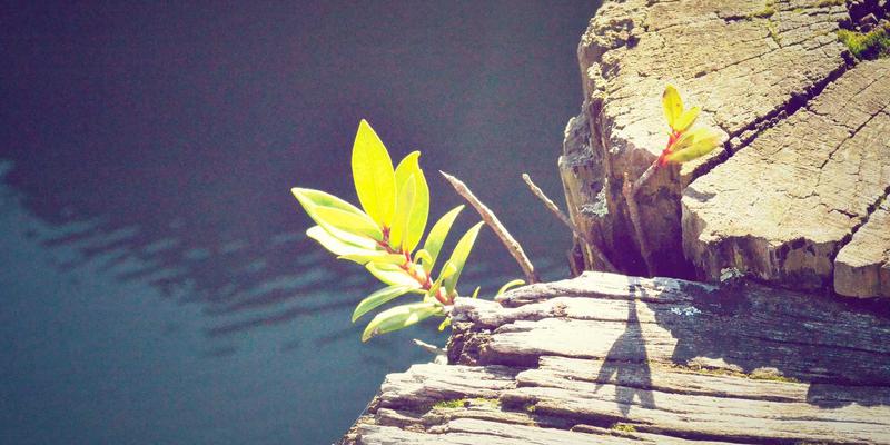 润泽晟豪的建筑设计美学：现代风格与地域文化的融合如何重塑高端住宅与商业地产价值