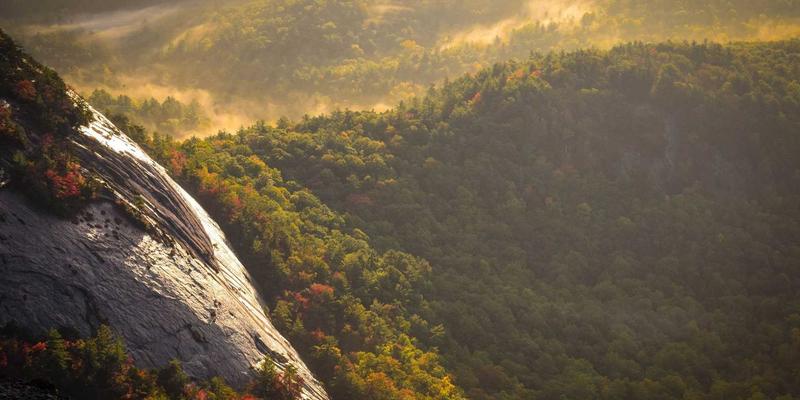 润泽晟豪项目园林景观设计理念解析：如何通过景观提升资产管理价值与物业管理体验